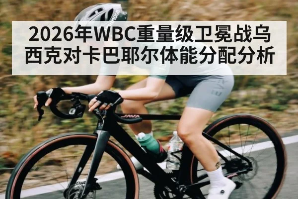 2026年WBC重量级卫冕战乌西克对卡巴耶尔体能分配分析